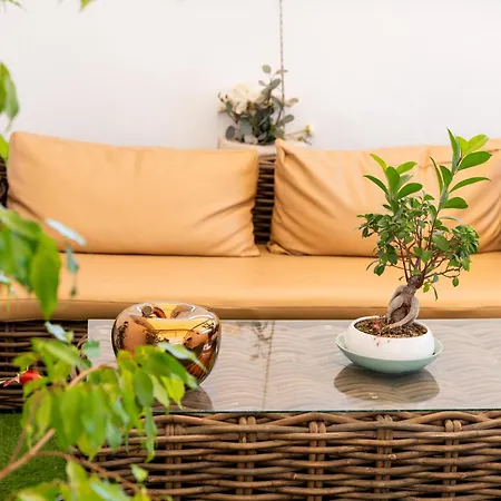 Oda ve Kahvaltı Palazzo Nicolaus Del Borgo Antico Bari